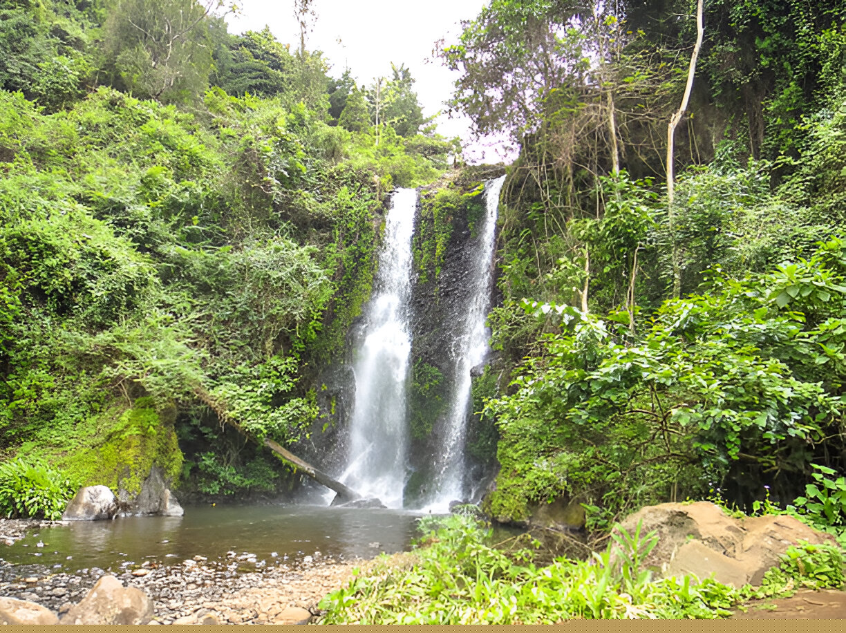 Arusha Travel Guide for Safari Travelers