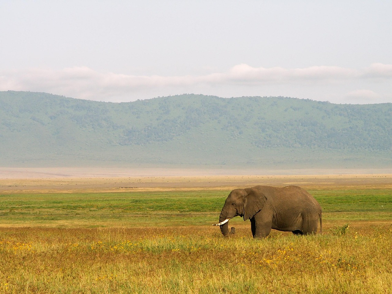 4 Days Lodge Safari