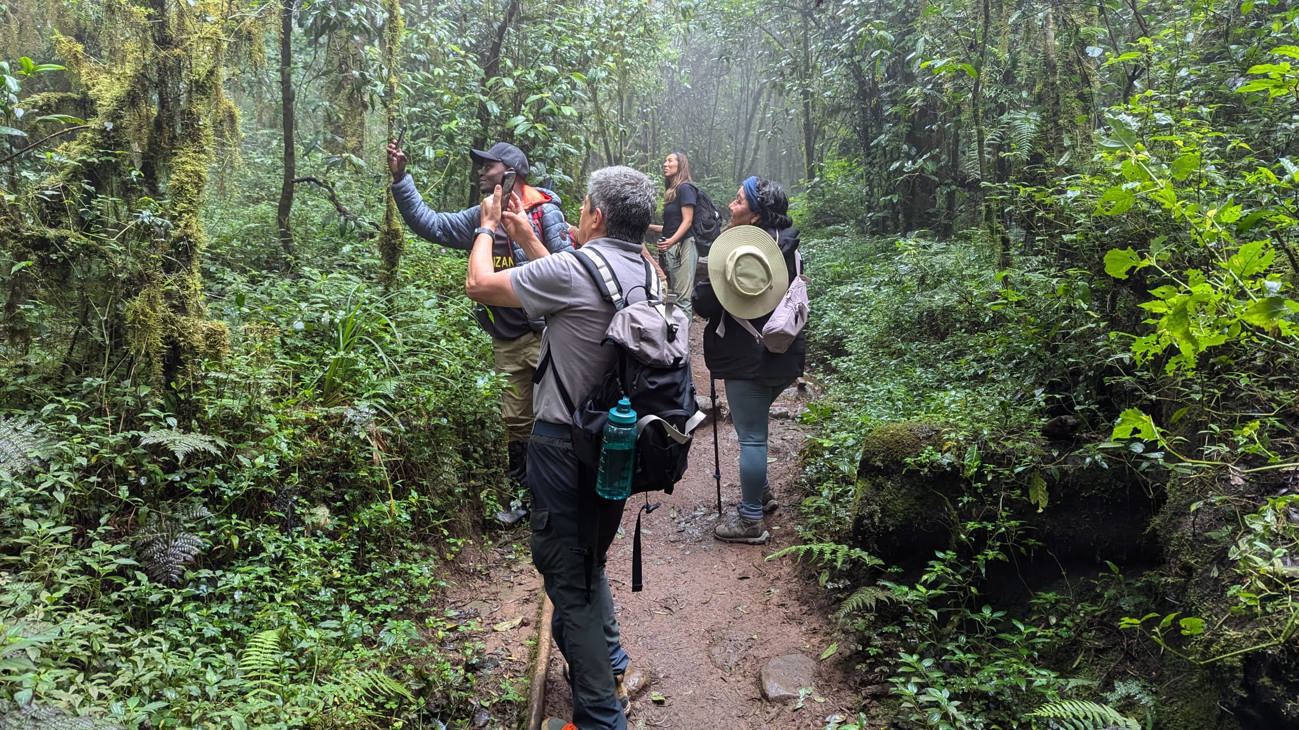 Machame Day Hike